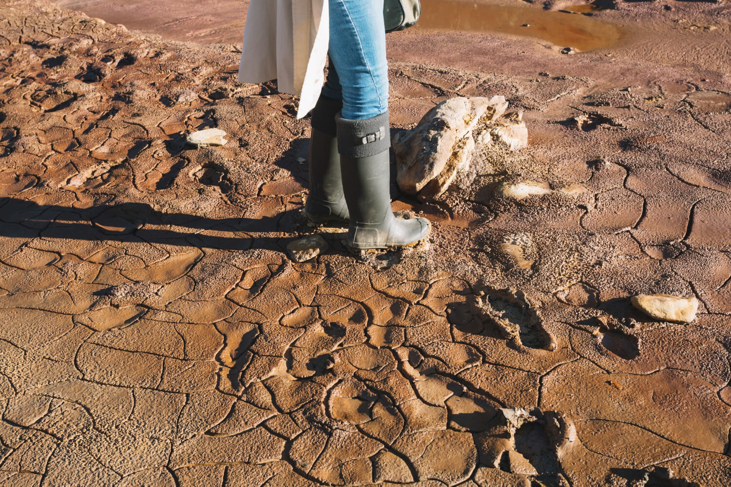 Clay Soil Causes Waterlogging