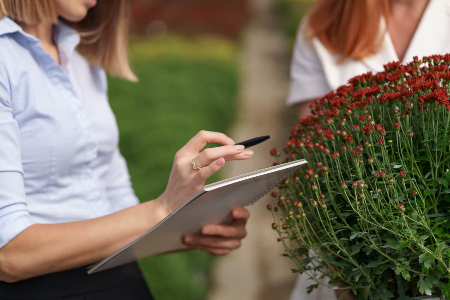 Landscaping Cost in Adelaide
